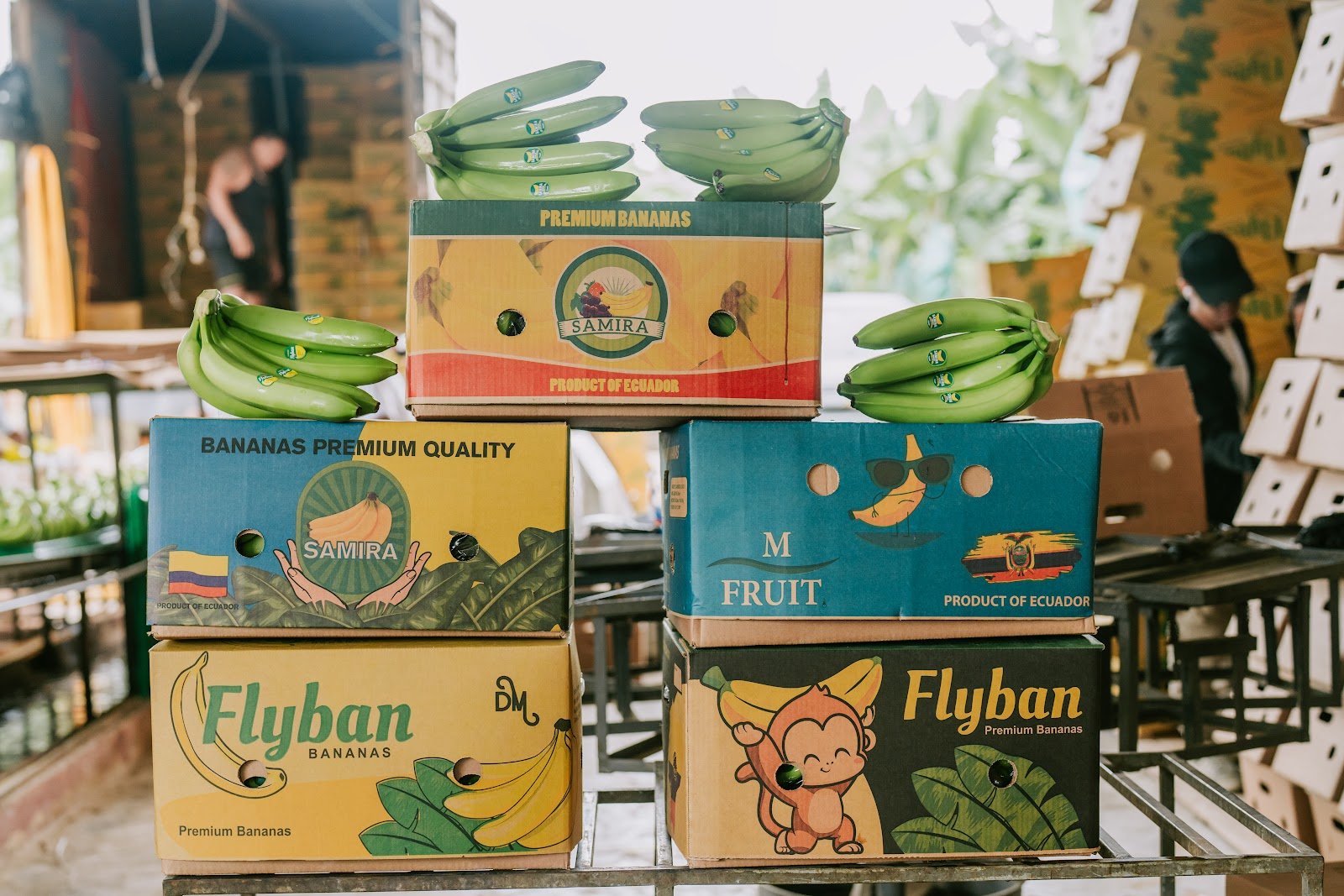 Cajas de banano de exportación listas para despacho